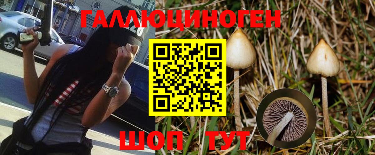 Галлюциногенные грибы Cubensis Арсеньев